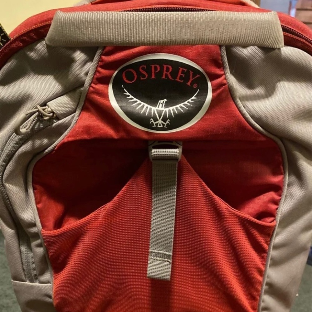 Osprey child hiking pack